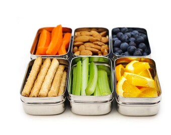 Zero Waste Lunch - Stainless Steel Snack Container - Back to School