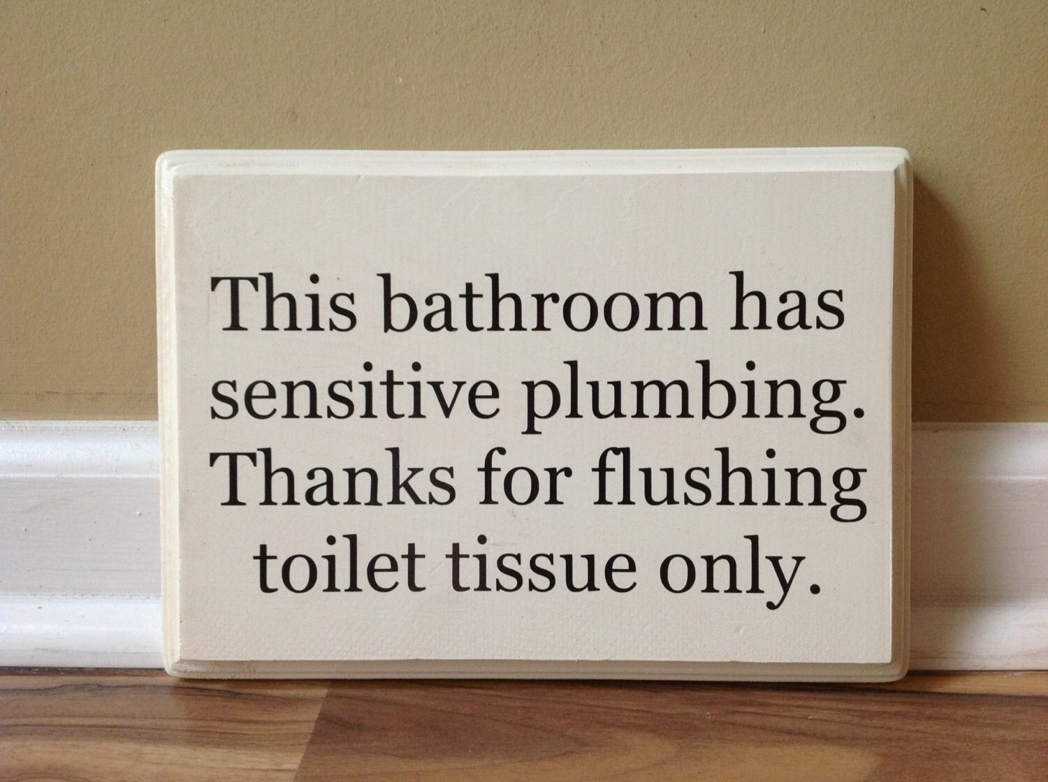 This Bathroom Has Sensitive Plumbing Septic System Rules