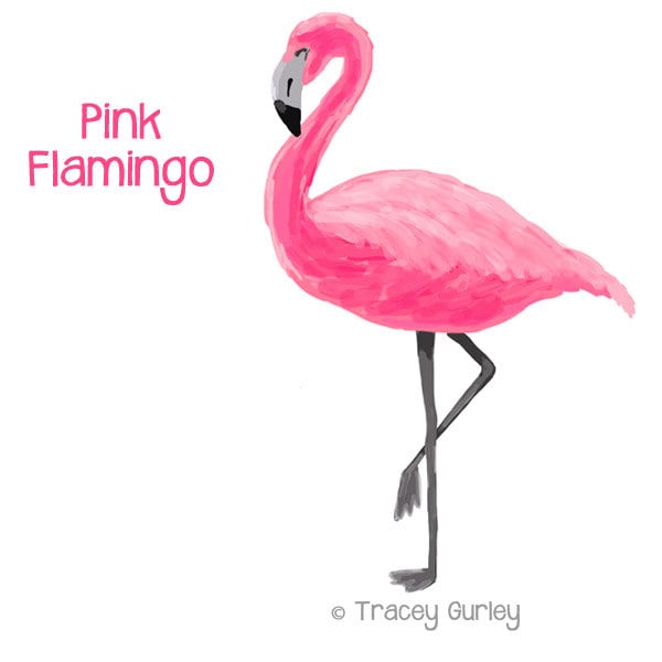 Звук фламинго скачать