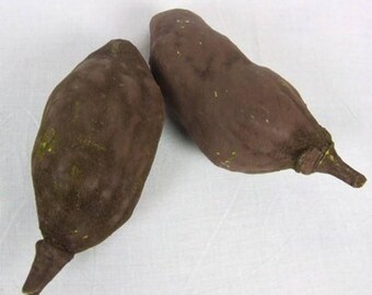3 x baobab pod fruit - 12-18cm - natural floral and craft -nuts, seeds and po