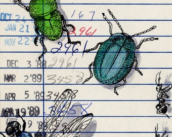 Bugs Upcycled Library Card Print
