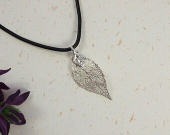 SALE Leaf Necklace, Silver Evergreen Leaf, Real Leaf Necklace, Silver Evergreen Leaf Pendant, SALE232