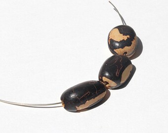 3 seed from Hymenaea courbaril sanded, drilled, approximately 2.5 x 3 cm