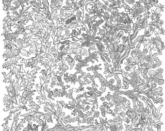 Tree of Life Poster - Darwin Evolution - A1 Black and White