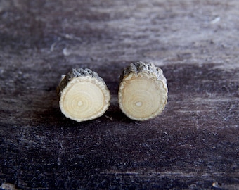 Delicate Holly Rustic Twig Miniature Wooden Stud Earrings by Tanja Sova