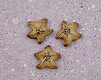 Tiny Starfish Button set of 3