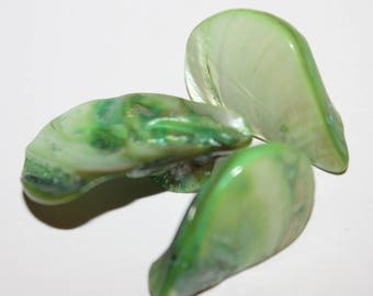 Drop Pearl natural shell, 20-40 mm set of 6