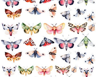 Moths and Butterflies ~ 48398 ~ Ceramic Decal - Glass Decal ~LEAD FREE & Food Safe ~ Enamel Decal ~ Waterslide Decal