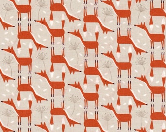 Timeless Treasures Fabric, Forest Frolic, Foxes on Stone