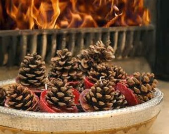 PINECONE FIRE STARTER