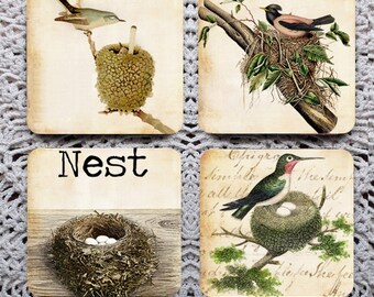 Nest -- Vintage Bird Illustration Mousepad Coaster Set