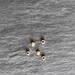 Sterling Silver Spacer Beads, 2.2 x 1 mm, Gold Plated, 50 pcs, Double Hole, Seamless Silver 925 Gold Plated Round Spacer Beads, Hole 1 mm