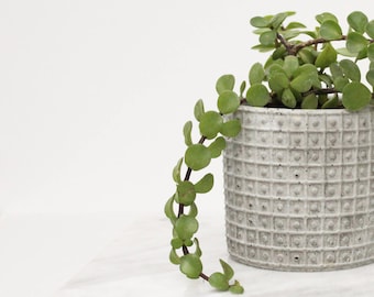 Dotted Concrete Planter, Indoor Planter, Concrete Decor, Cement Plant pot, Concrete Pot, Succulents Planters, Round Planter, Cactus Planter