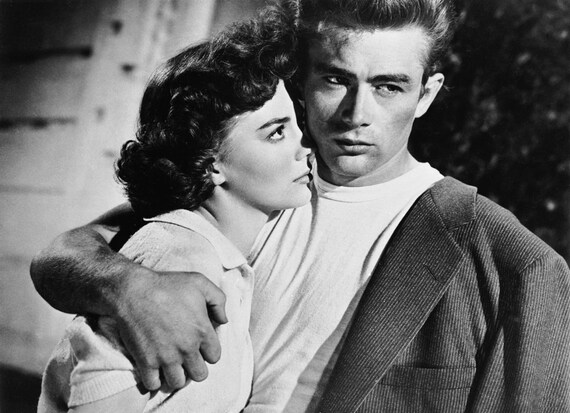 james dean natalie wood rebel without a cause poster art photo james deen flower size