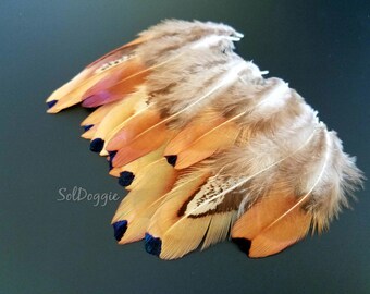 Small Feathers Real Feathers DIY Craft Supplies Natural Pheasant Feathers DIY Supplies Craft Feathers- 12