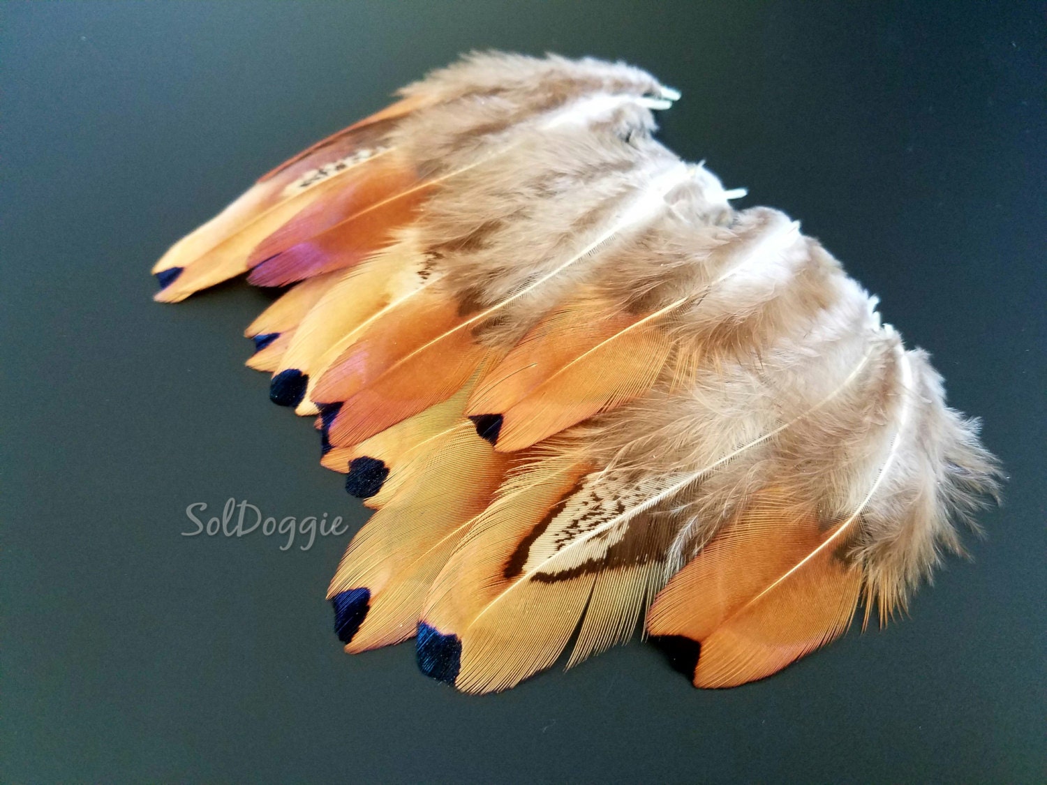 Small Feathers Real Feathers DIY Craft Supplies Natural