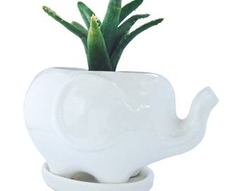 Ceramic Elephant Succulent Planter, Makes a Great White Elephant Gift, Plants NOT Included