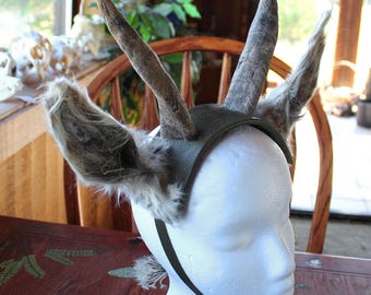 Real goat horn, llama ears and natural deerskin headdress headband stag Horned God Herne Cernunnos pagan totem ritual Beltane Wicca crown