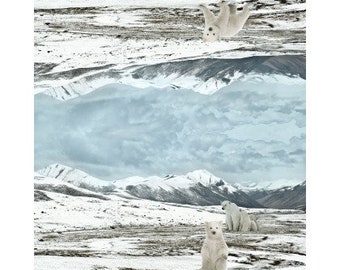 Jersey, Stenzo, cloth panel-Polar bears