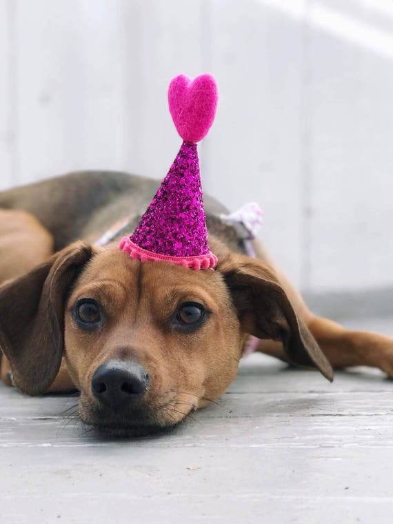 Heart Hat || Dog Party Hat ||February Birthday || Pink and Red || Love