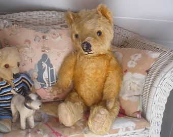 Old English teddy bear