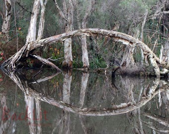 Reflections on the River
