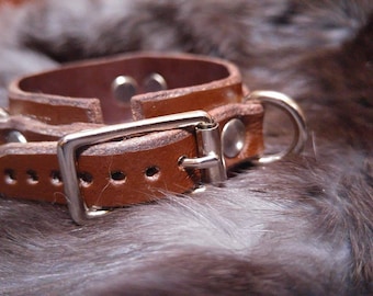 Mini daywear bdsm cuff/collar