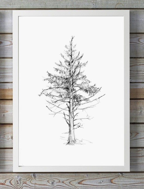  Pine Tree Pencil drawing Giclee print Home Decor Tree 