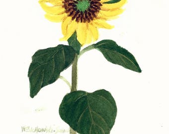 Yellow Sunflower Original Watercolor