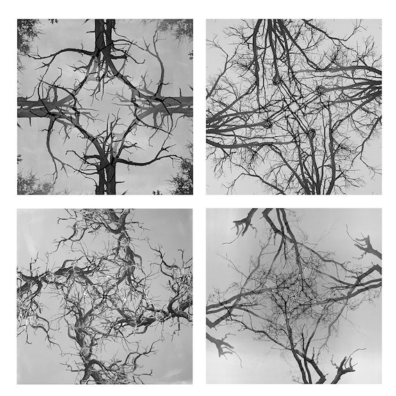 Set of 4 8x8 black and white modern art photography prints a Set of 4 8x8 black and white modern art photography prints a