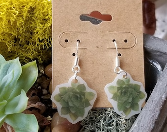 Succulent photo Earrings- Lightweight with sterling silver hooks