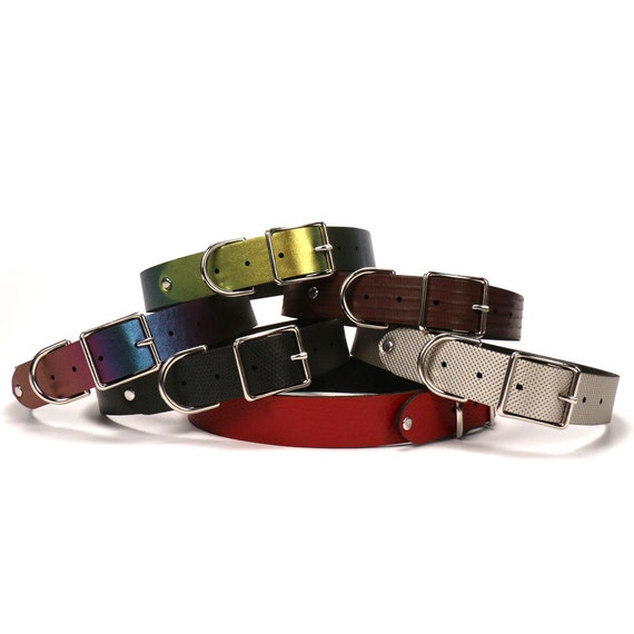 personalized dog collar pet id collar cruelty free pet