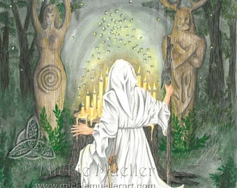 Wisdom in the Woods Limited Edition Print