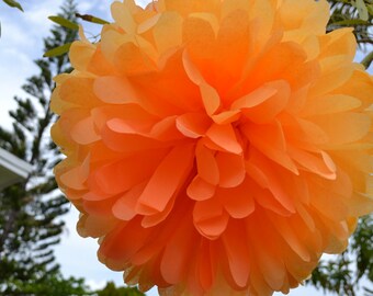 Tissue Paper pom pom made with tissue paper/hanging paper ball/paper pomander/DIY tissue paper pom poms/hanging paper flowers for parties.