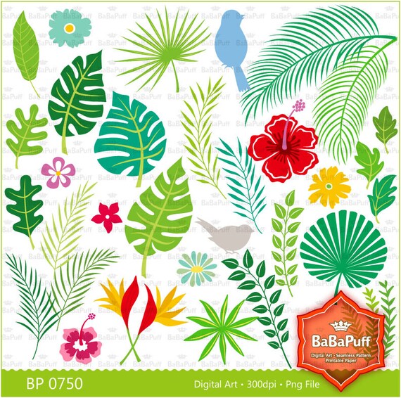 Instant Downloads Digital Tropical Leaves and Birds Clip Art