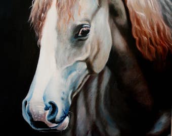 Andalusian horse original Oil Painting