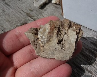 ohio dog tooth calcite and hematite matrix specimen//25.2 grams//oregon,ohio//1.75 in//calcite//ohio crystals