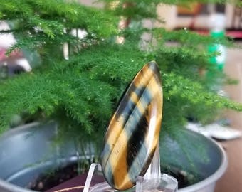 Pietersite cabochon display set