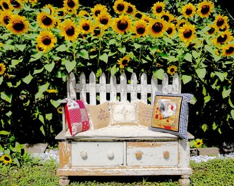 pillows with ambience of Provence, France