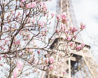 Paris Photograph - Eiffel Tower and Magnolia,Travel Photograph, French Urban Home Decor, Large Wall Art
