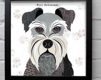 Mini Schnauzer dog print