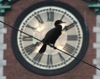 Cuckoo Clock