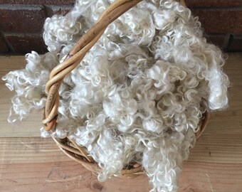 Teeswater, Fleece, Cream, Washed, Undyed, White, 2 Ounces, Natural, Fiber, Wool, Spin, Felt, White Curls