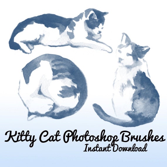 7 Kitty Cat  Photoshop  Brushes  Cats  photoshop  brush  pets cute