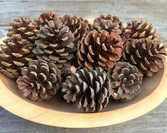 Natural Pine Cones - Rustic Decoration or Craft Supply - Set of 12 Pine Cones - Rustic Wedding Decor - Country Home Decor - Holiday Decor