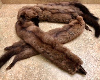mink stole 4 full bodies