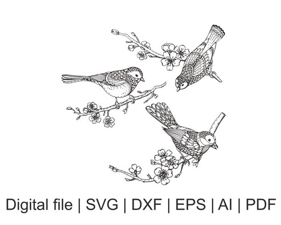 Download Zentangle bird Bird mandala Mandala schablone Zentangle