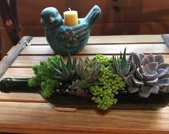 Succulent Wine Bottle Planter