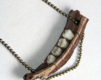 Necklace, driftwood, teeth, ball chain * 883