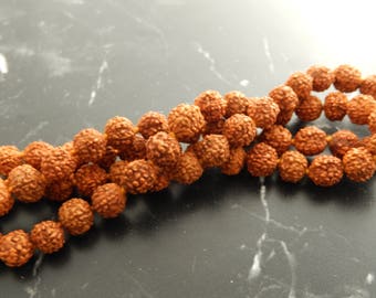 10 Rudraksha seed beads